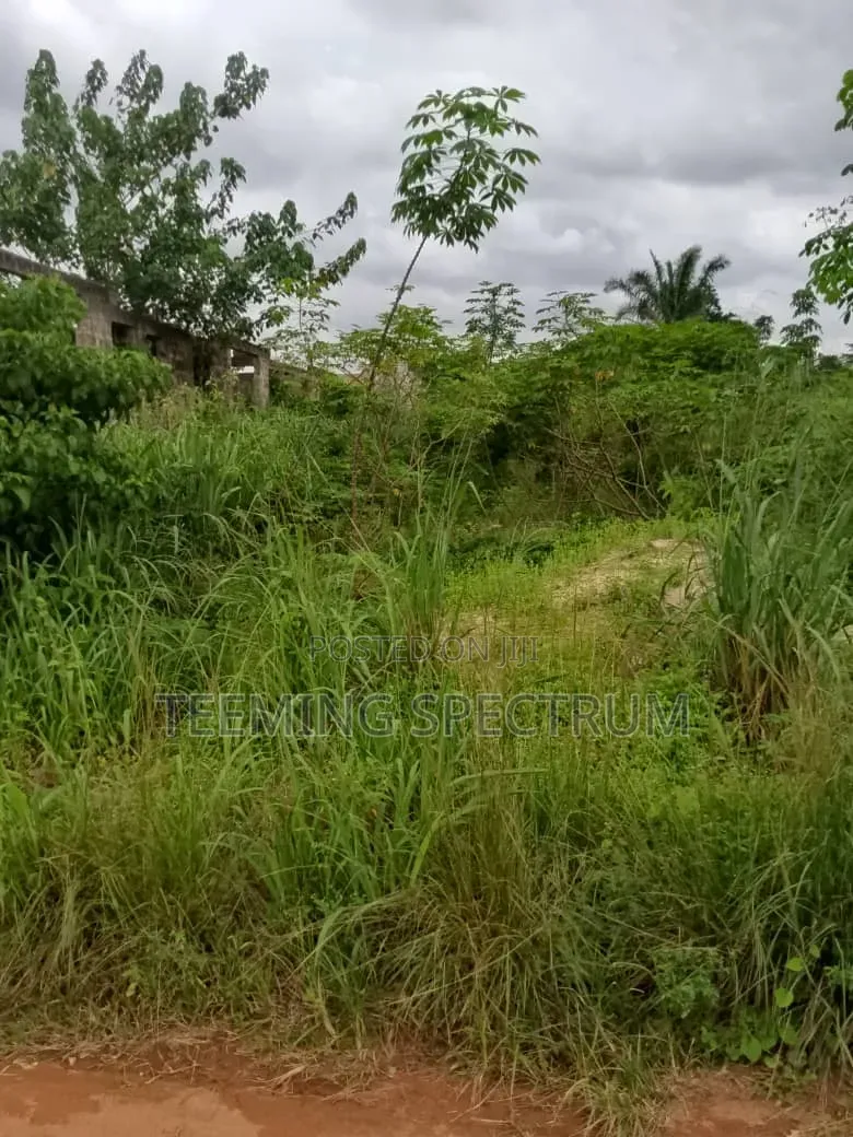 Land for Sale in Benin City