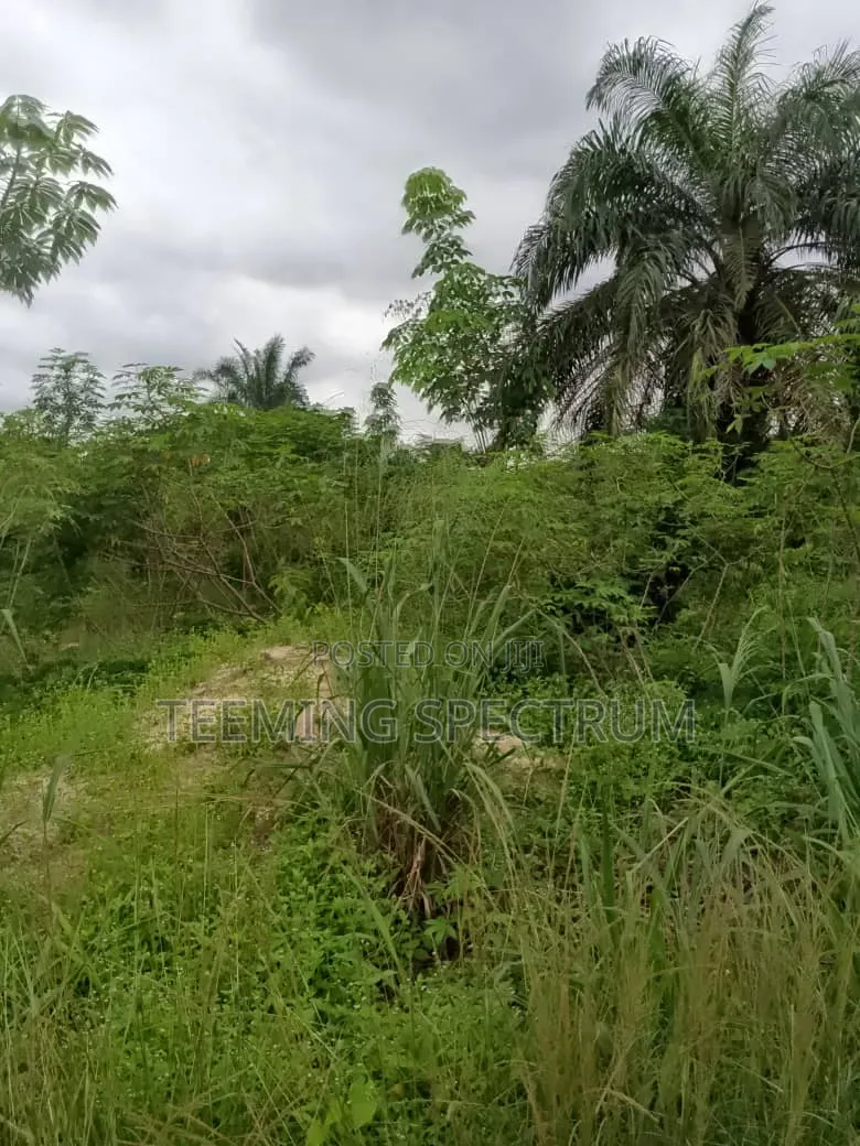 Land for Sale in Benin City