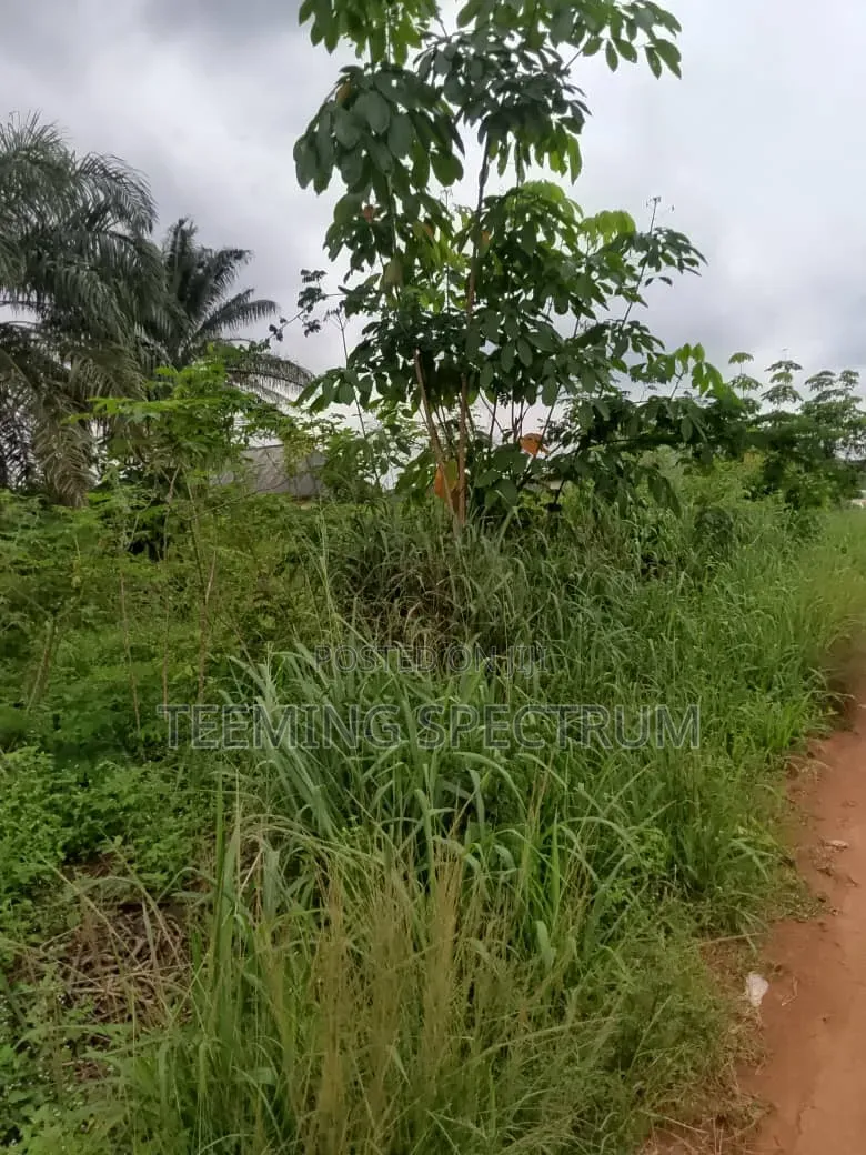 Land for Sale in Benin City