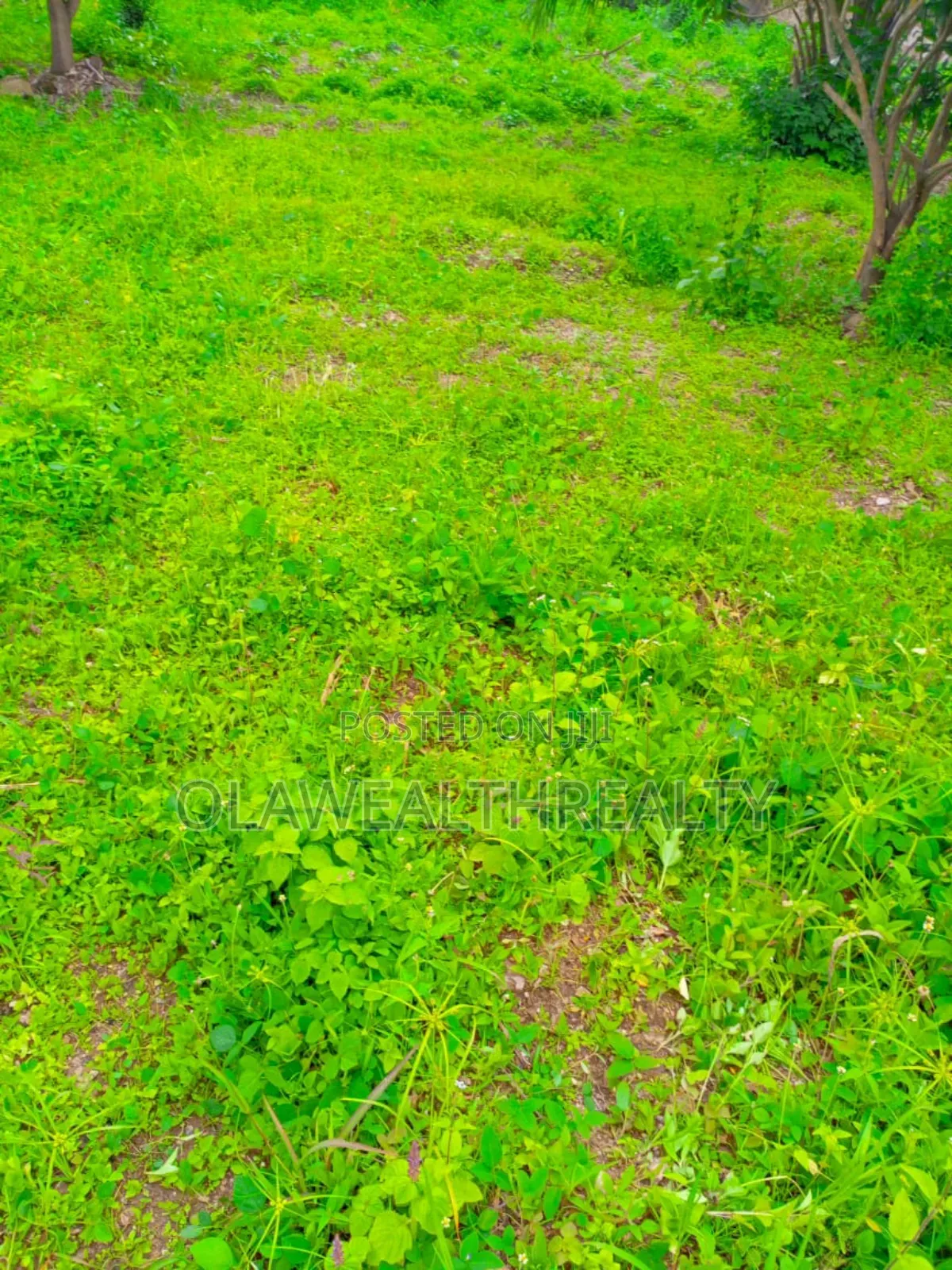 647sqm Residential Land at Otunba Adebayo Alao-Akala Gra, Wofun in Ibadan