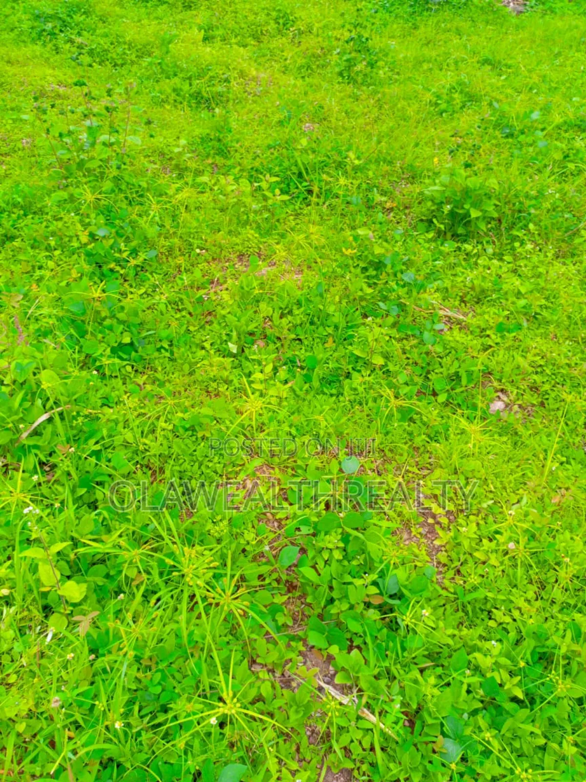 1278sqm Residential Land at Park Manor Estate, Samonda in Ibadan