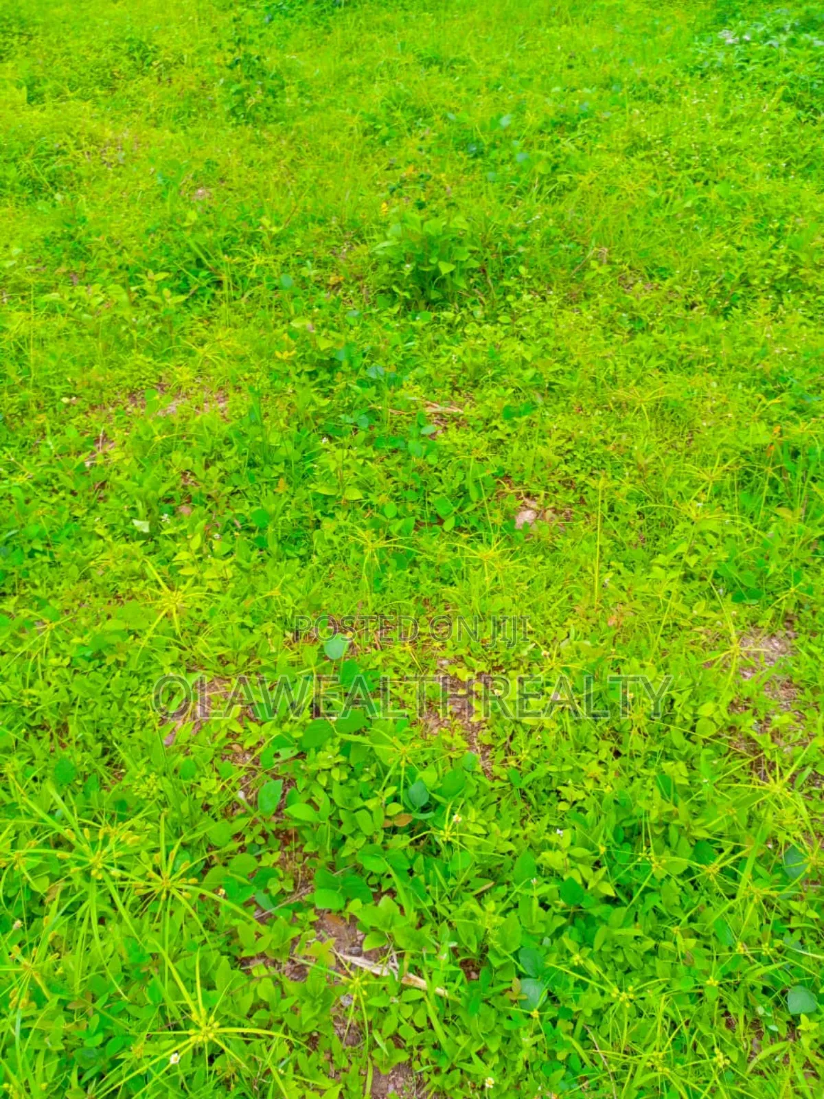 1278sqm Residential Land at Park Manor Estate, Samonda in Ibadan