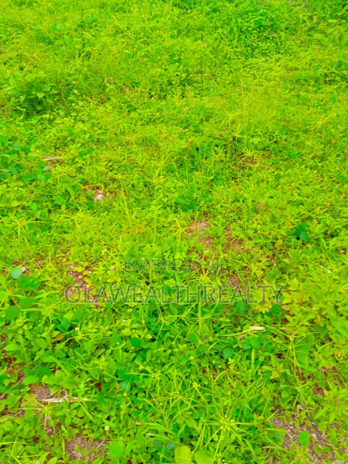 400sqm Residential Land at Carlton Gate Estate, Akobo in Ibadan