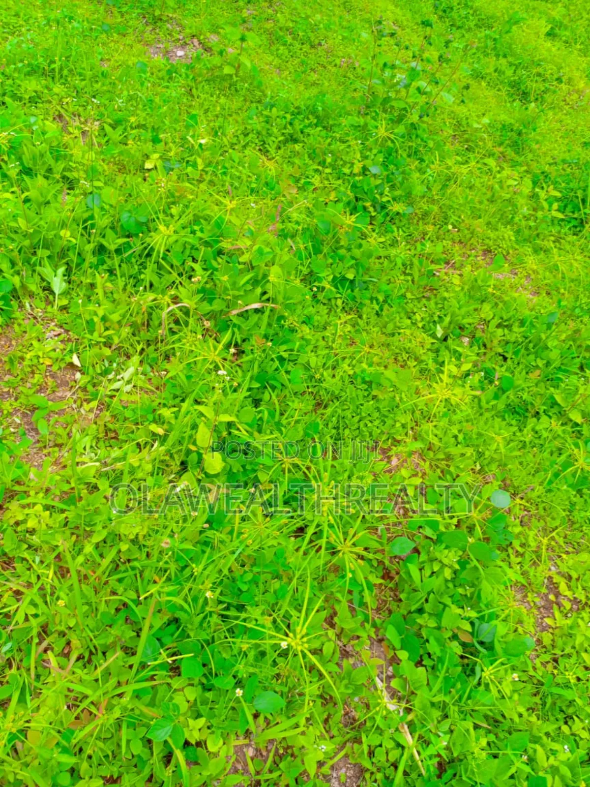 400sqm Residential Land at Carlton Gate Estate, Akobo in Ibadan