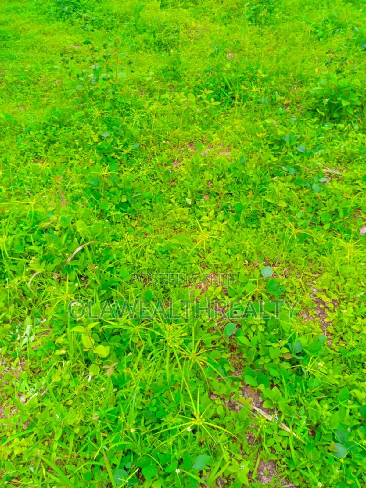 601sqm Residential Land at Carlton Gate Estate, Akobo in Ibadan