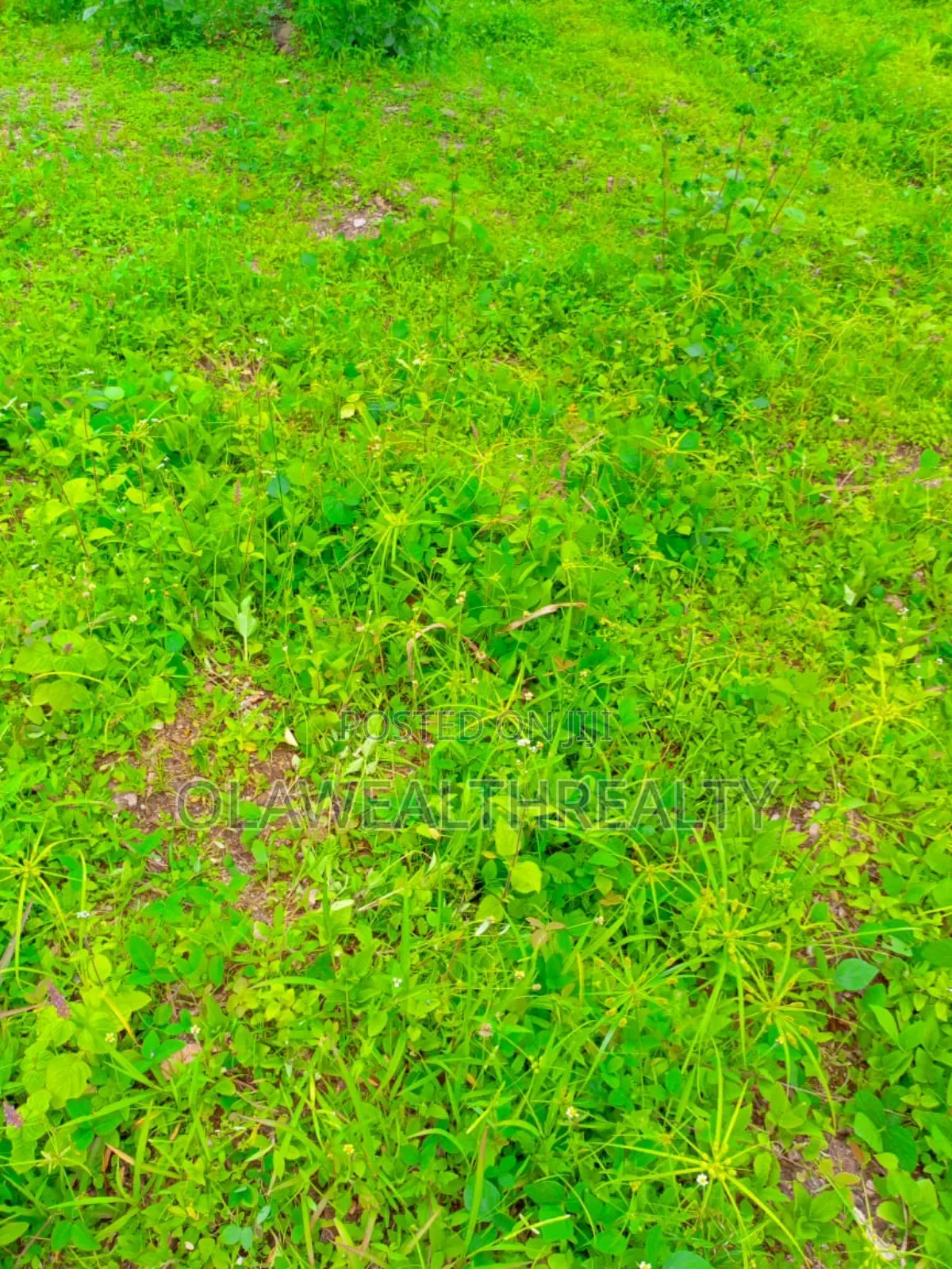 601sqm Residential Land at Carlton Gate Estate, Akobo in Ibadan