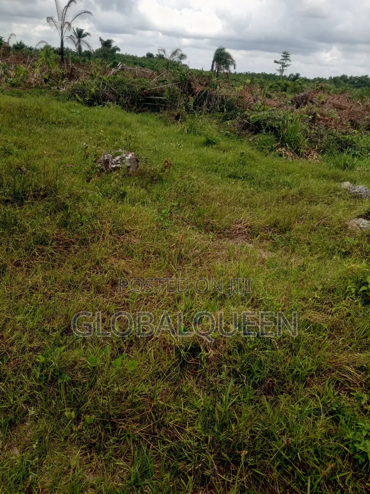Strategic Residential and Hotel Land for Sale in a Prime Location in Elerangbe