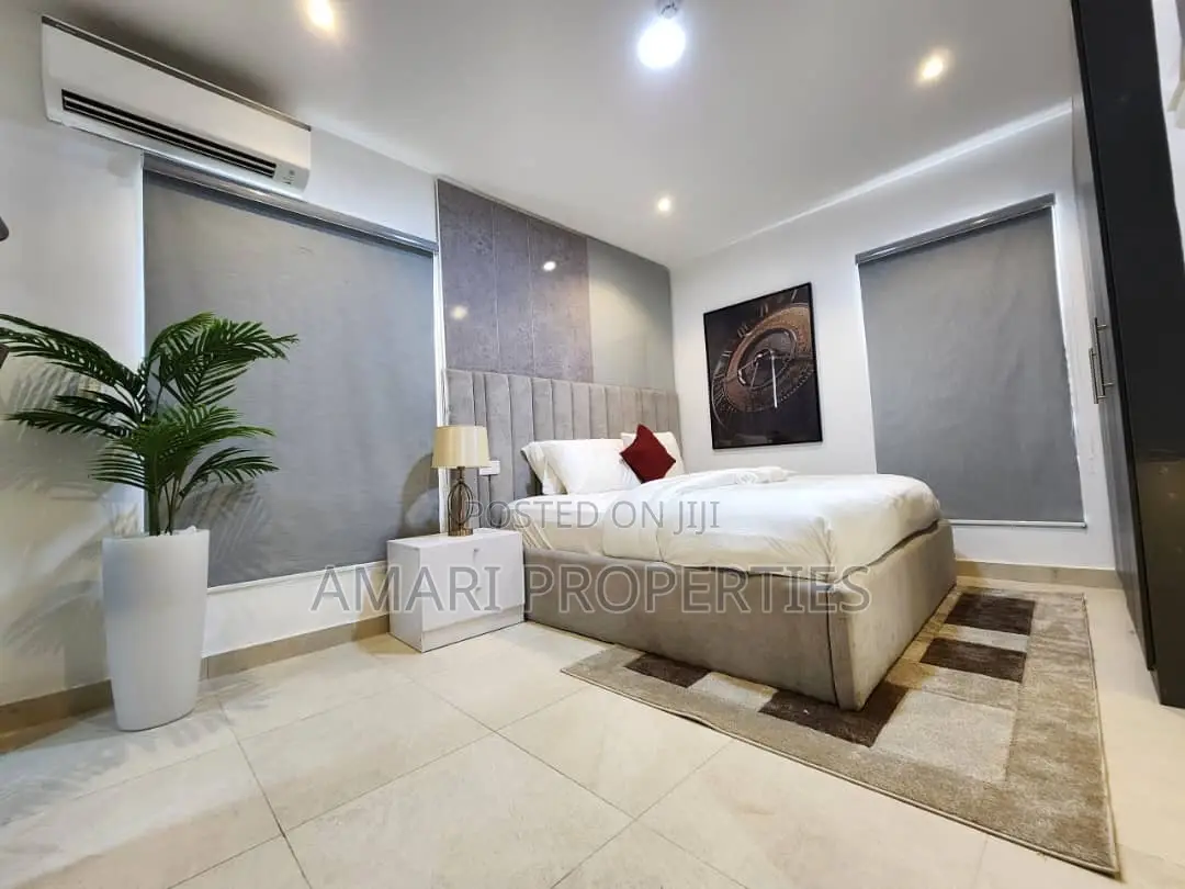 Furnished 2bdrm Block of Flats in Old Ikoyi for rent in Old Ikoyi
