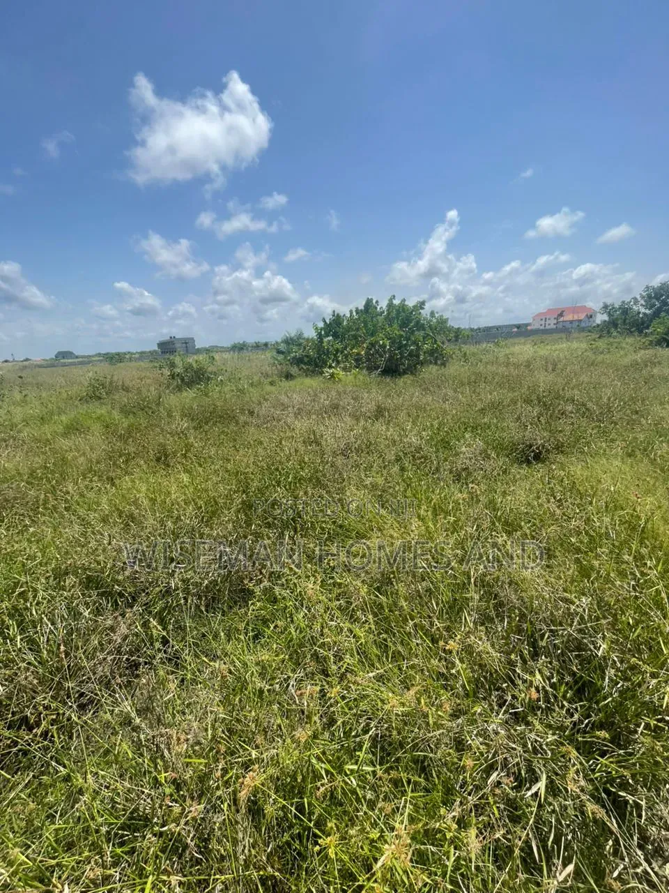 Sharp Dry Land in Sangotedo