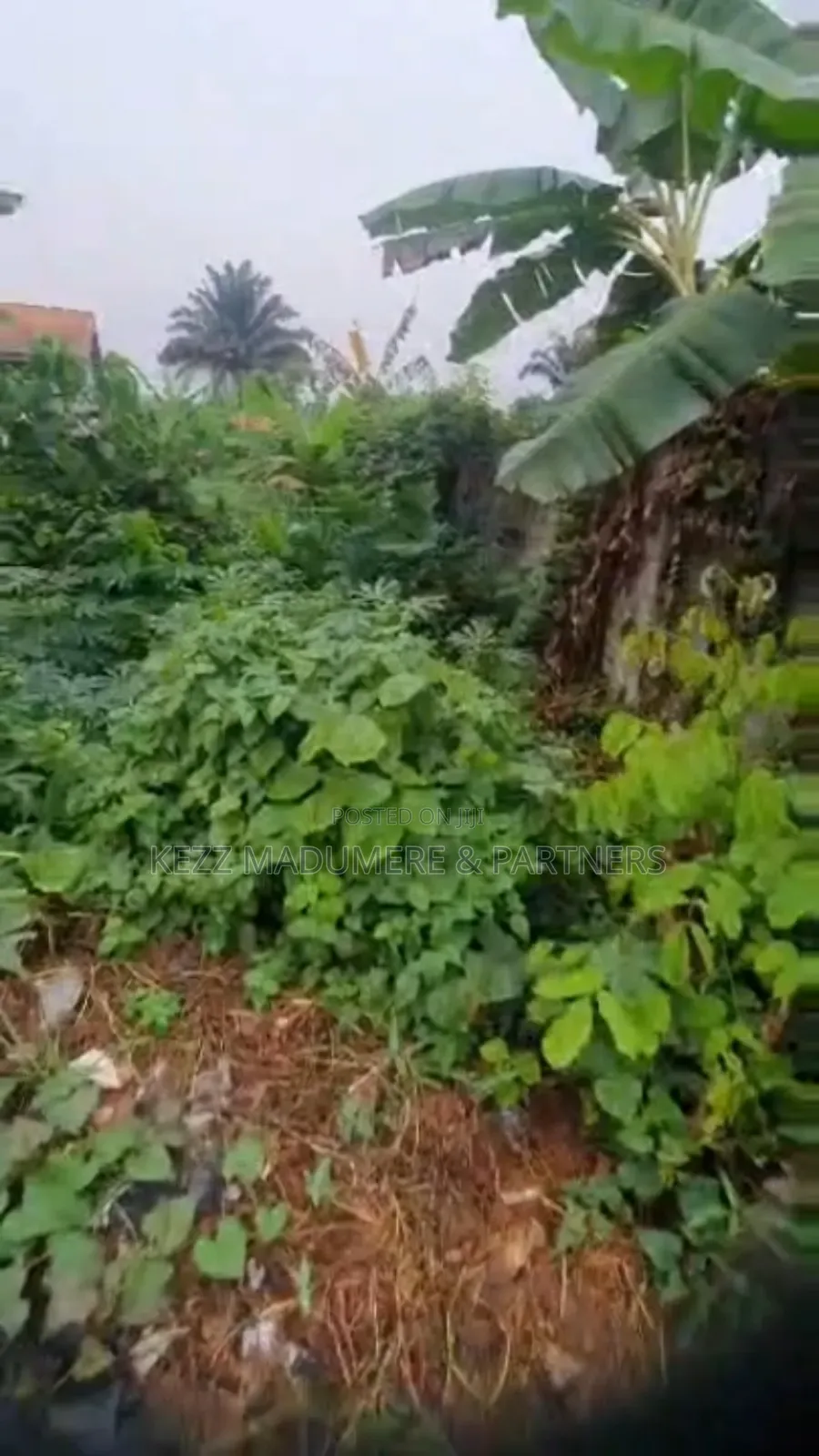 For Sale : Sizeable Warehouse on 23 Plots at Nta / Aparrlink Rd, Ph in Rumuigbo