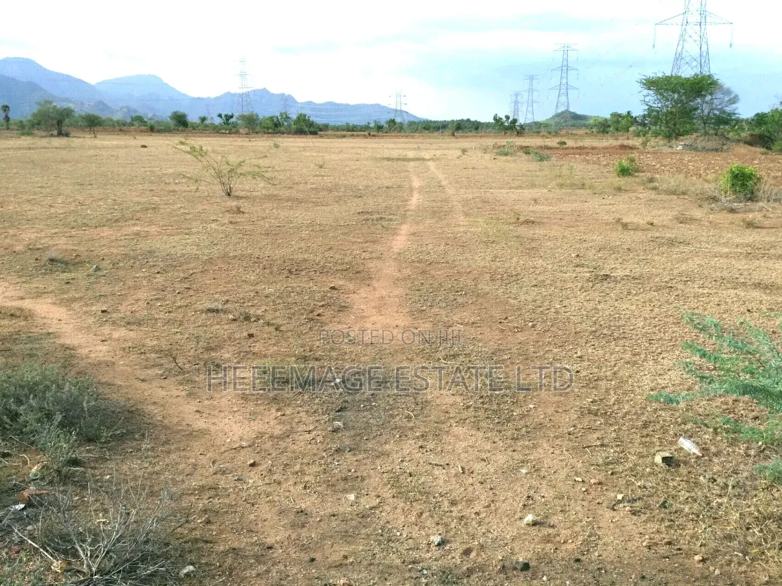 Hot Giri Farmland in Giri