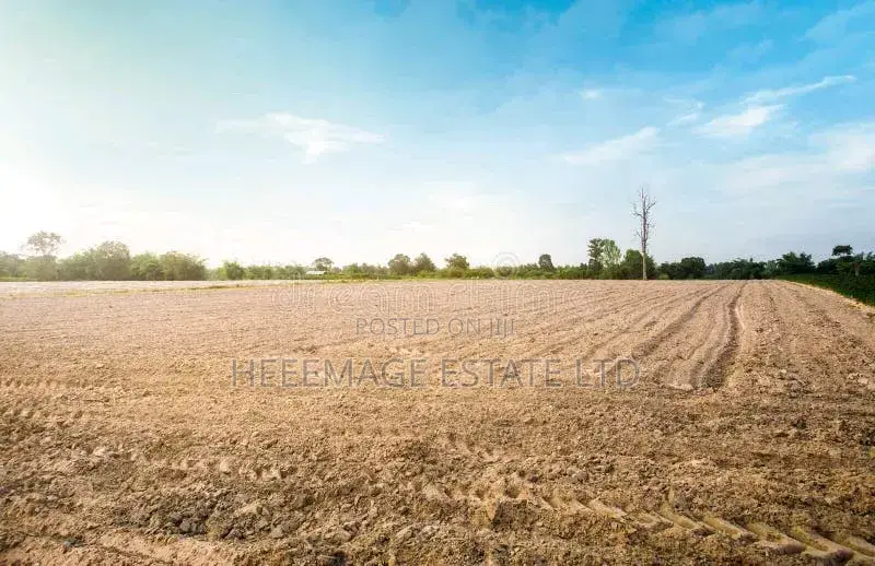 Hot Giri Farmland in Giri