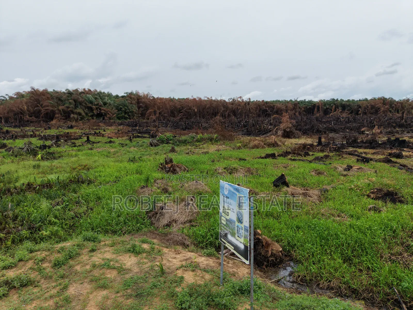 Prime Plots Investment Opportunity in Ibeju Lekki Lagos in Elerangbe