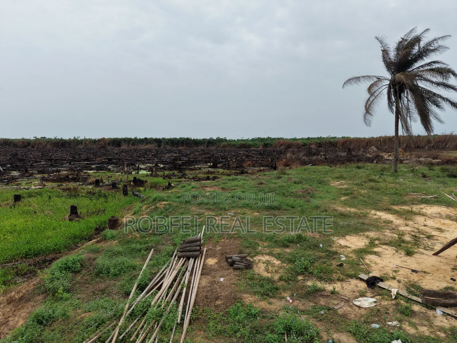 Prime Plots Investment Opportunity in Ibeju Lekki Lagos in Elerangbe