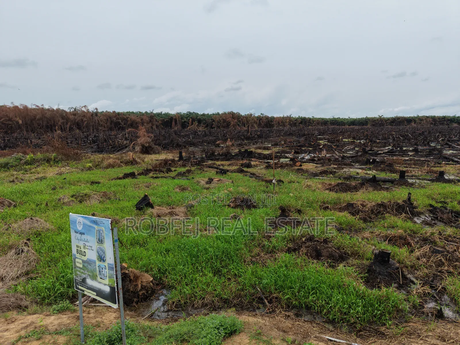 Prime Plots Investment Opportunity in Ibeju Lekki Lagos in Elerangbe
