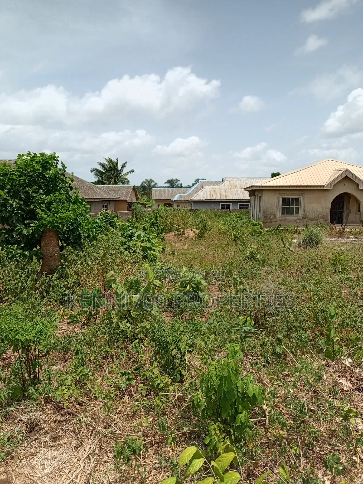 Fenced Half Plot of Land in Igbogbo Ikorodu for Sale in Igbogbo