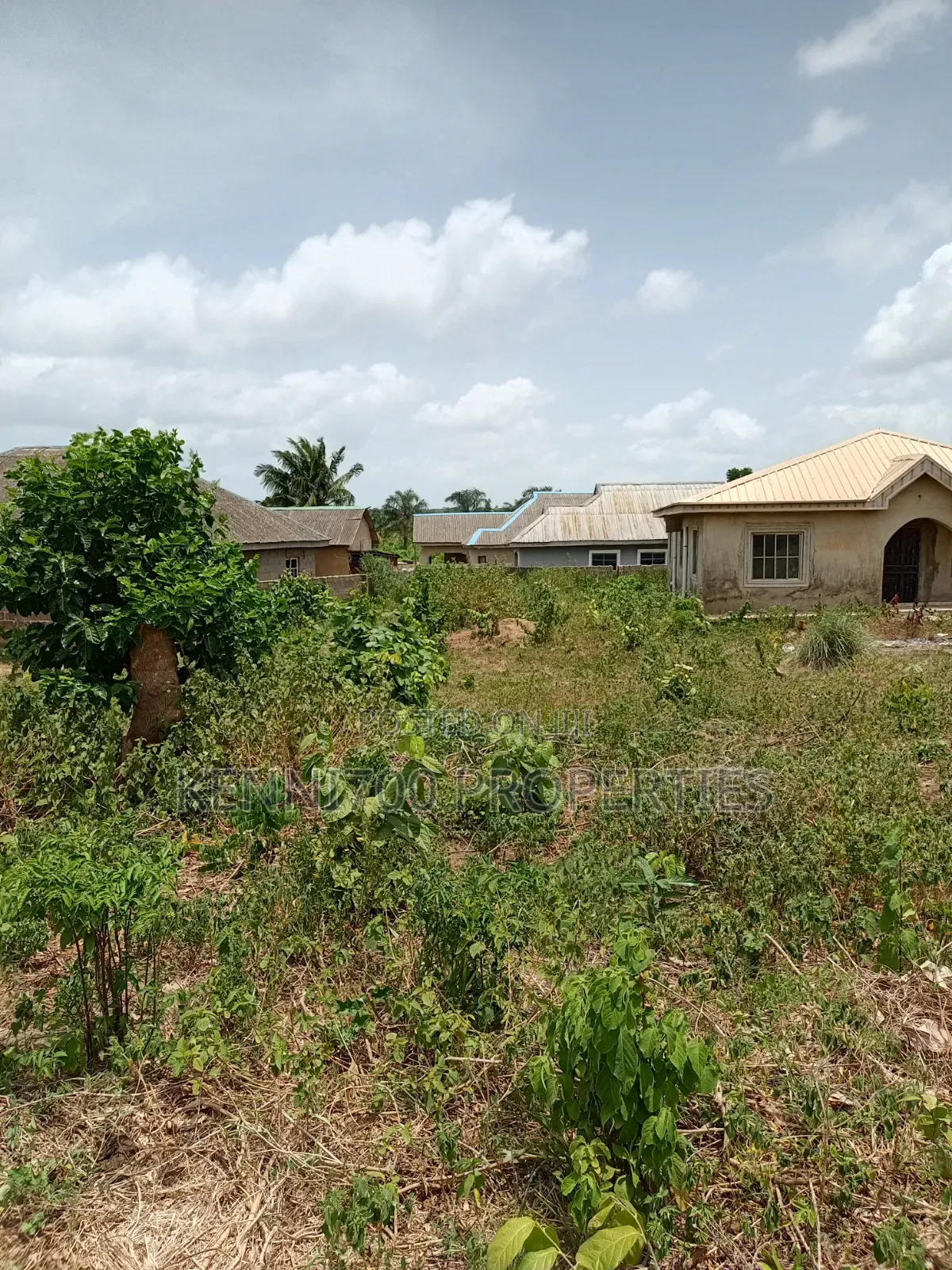 Fenced Half Plot of Land in Igbogbo Ikorodu for Sale in Igbogbo