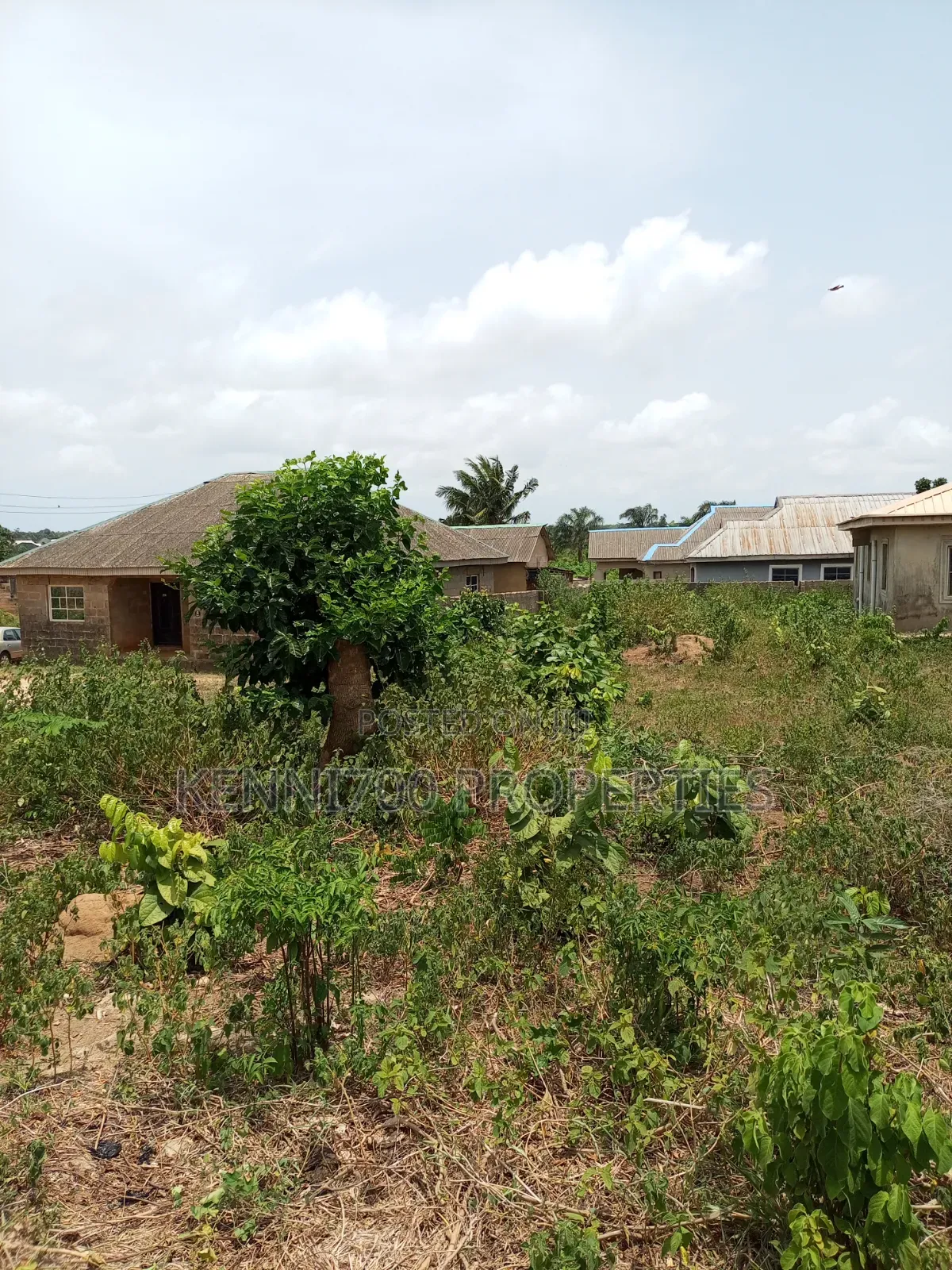 Fenced Half Plot of Land in Igbogbo Ikorodu for Sale in Igbogbo