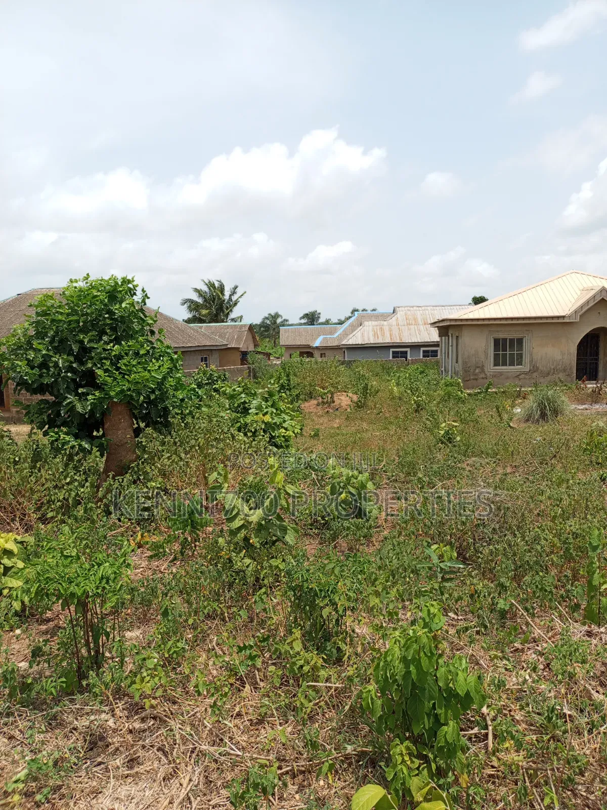Fenced Half Plot of Land in Igbogbo Ikorodu for Sale in Igbogbo
