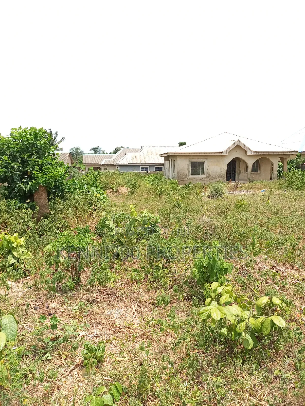 Fenced Half Plot of Land in Igbogbo Ikorodu for Sale in Igbogbo