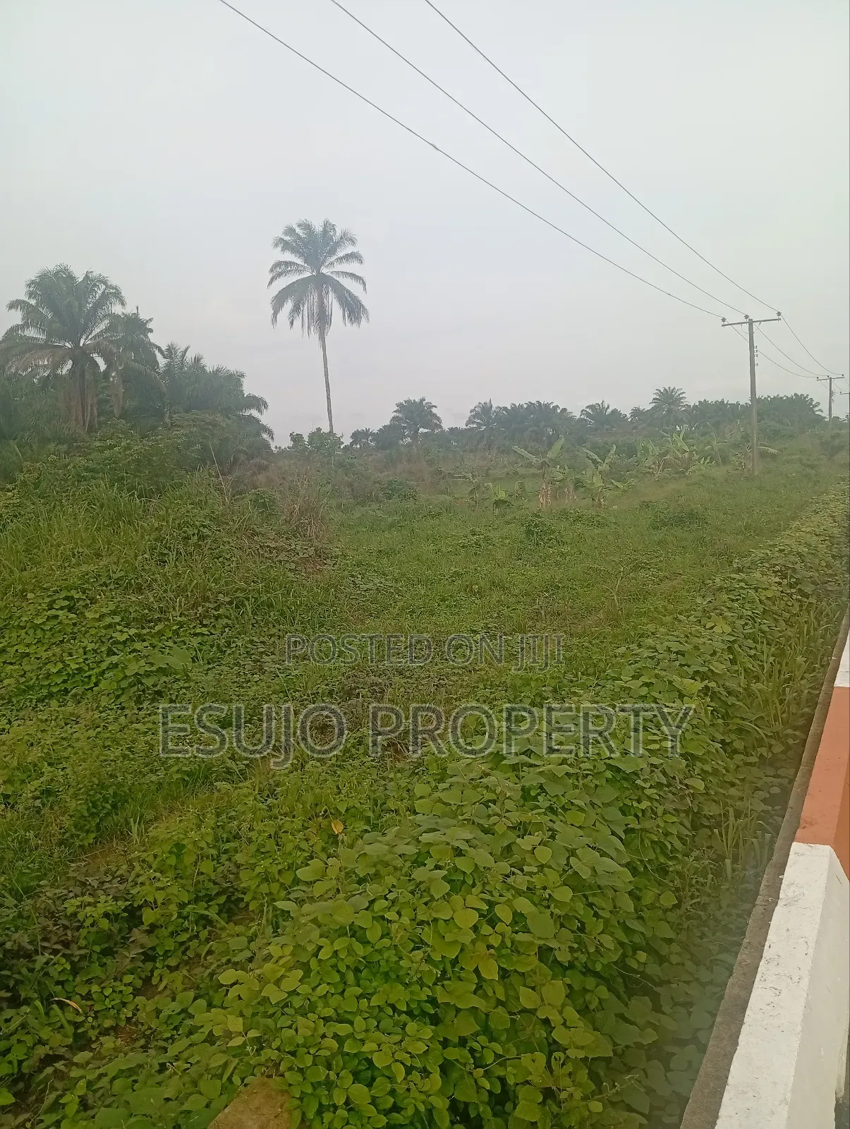 Land at Airport Road for Sale in Uyo