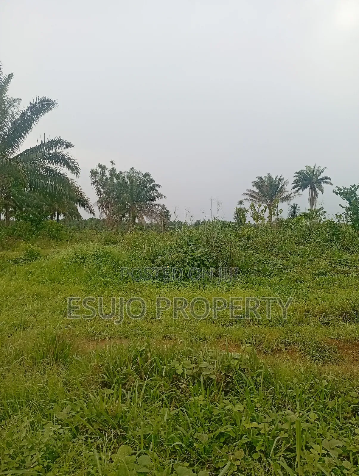 Land at Airport Road for Sale in Uyo
