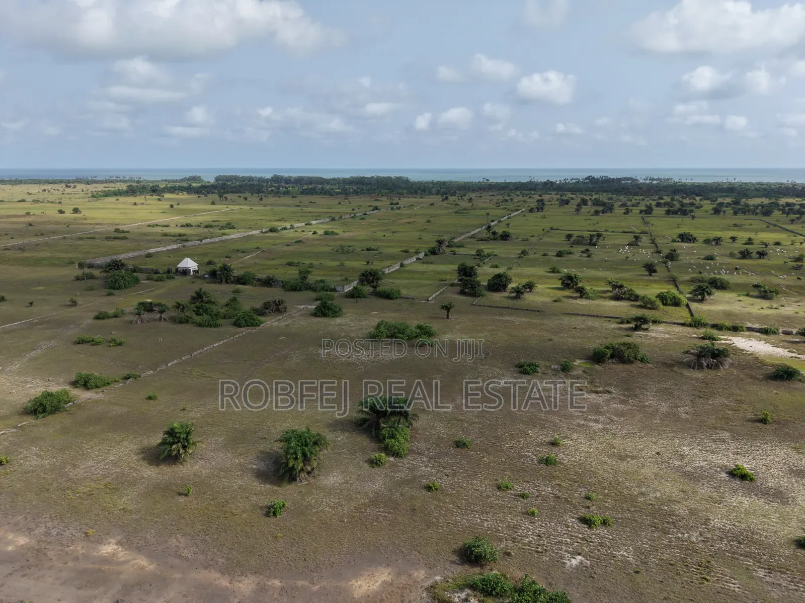 Coastal Road Real Estate Opportunities in Eleko