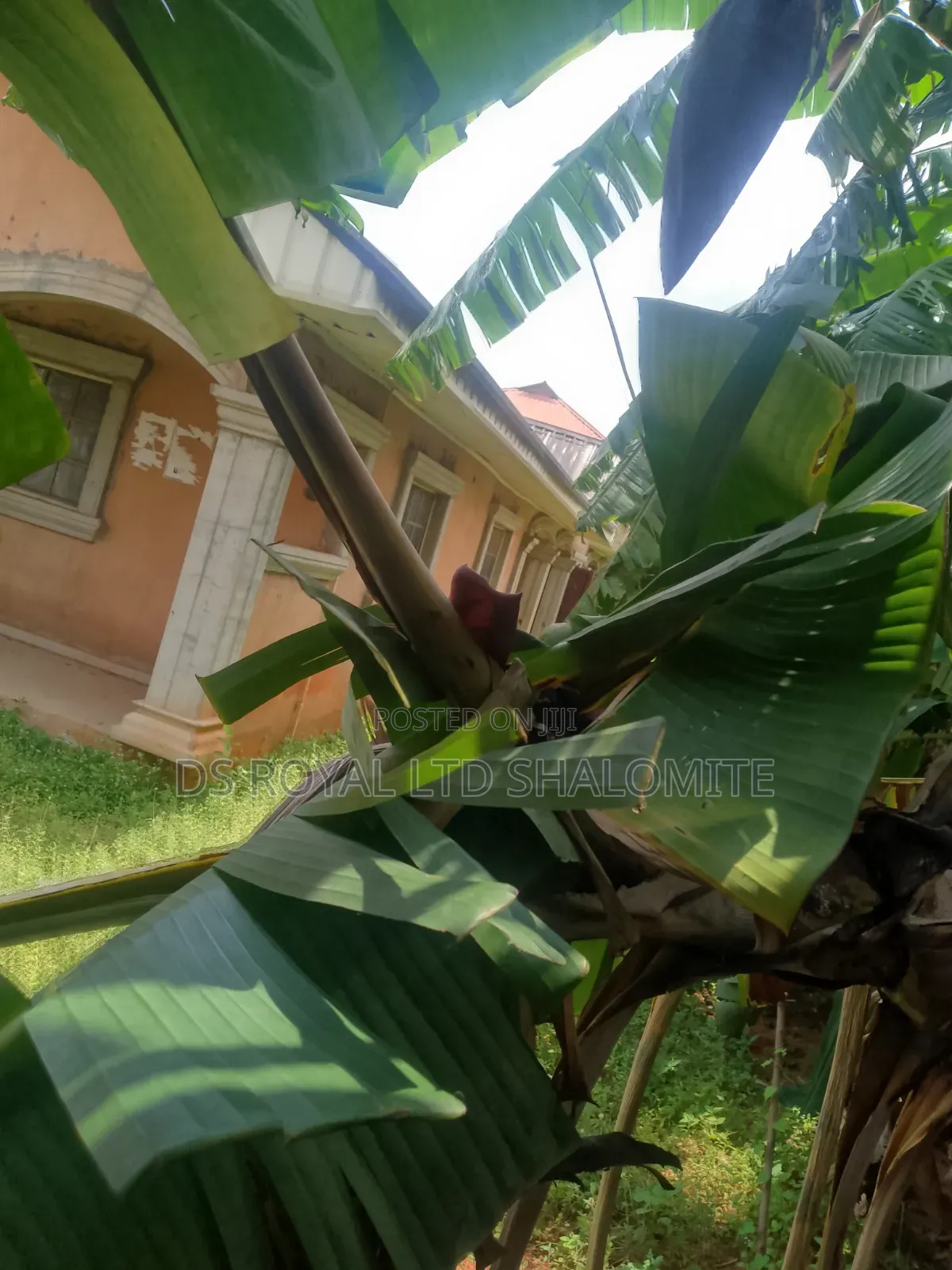 3bdrm Block of Flats in Benin City for sale in Benin City