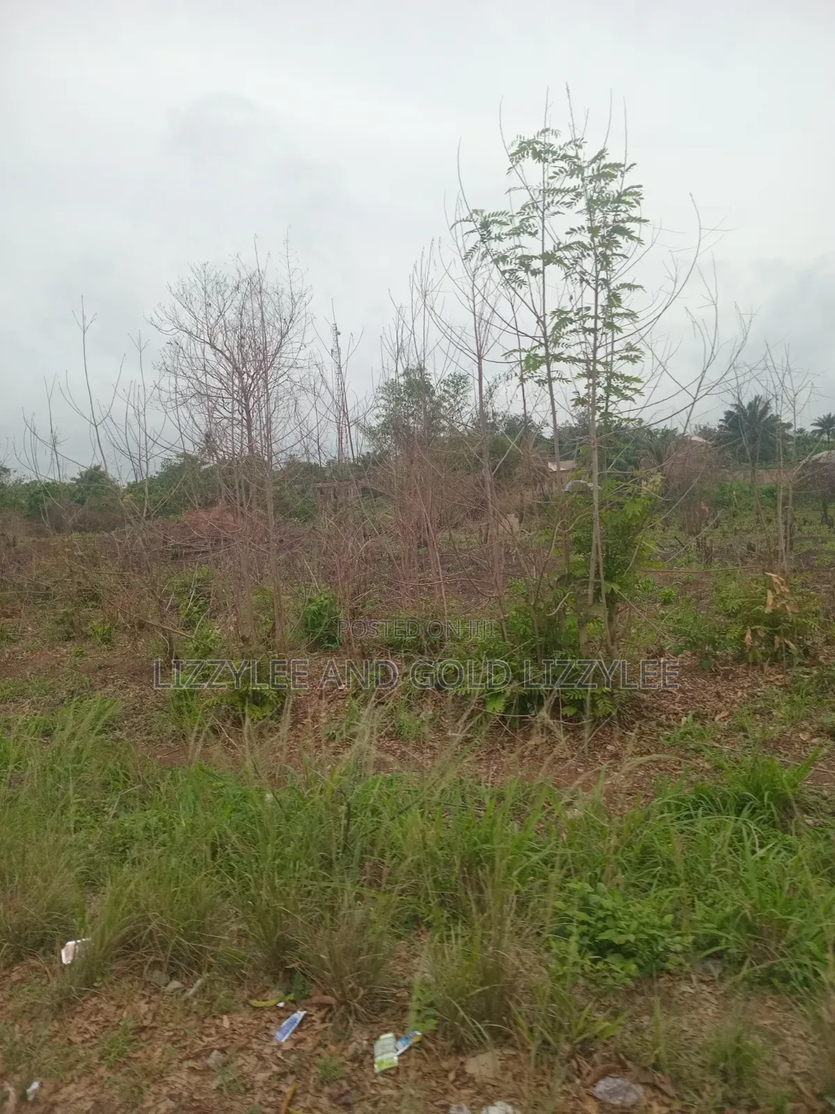 2000 Acres Of Farmland For Sale @280k Per Acre in Itesiwaju