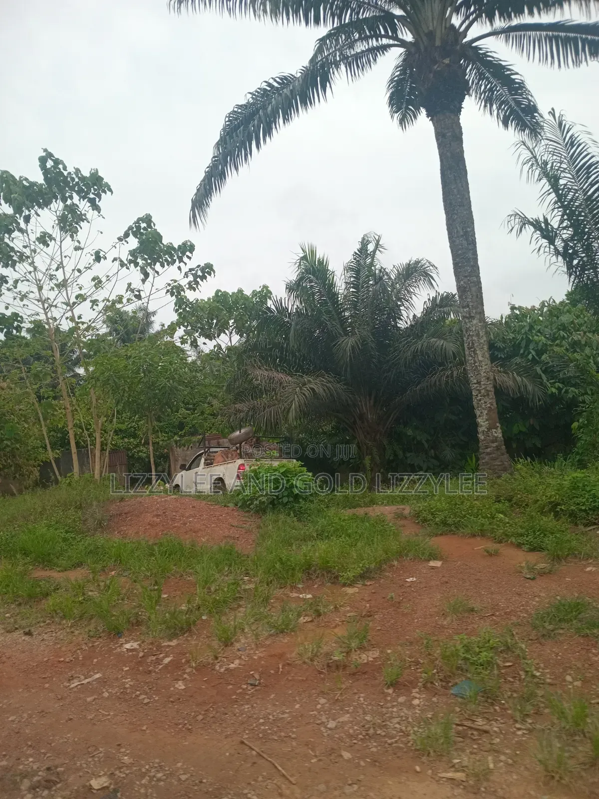 2000 Acres Of Farmland For Sale @280k Per Acre in Itesiwaju