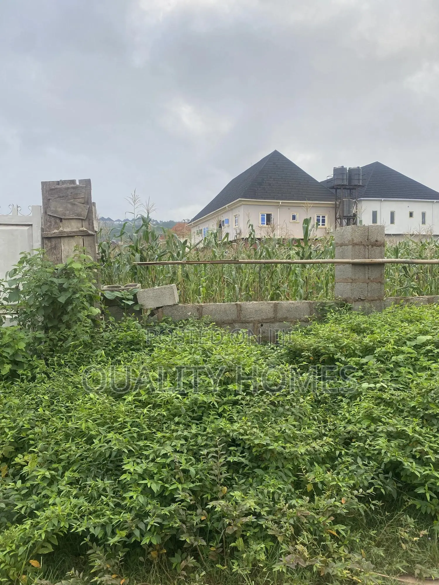 Certificate Of Occupancy in Apo Resettlement