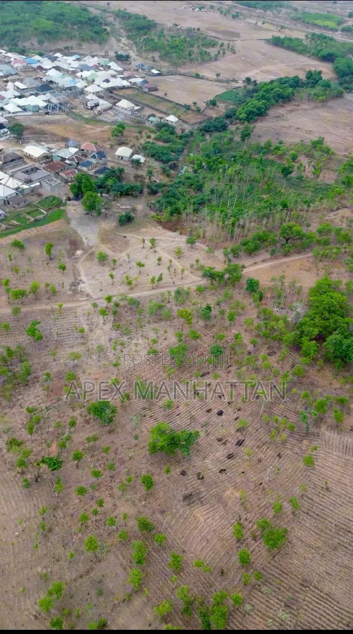 Flat 8 Hectare Land at Kagini for Sale in Kubwa