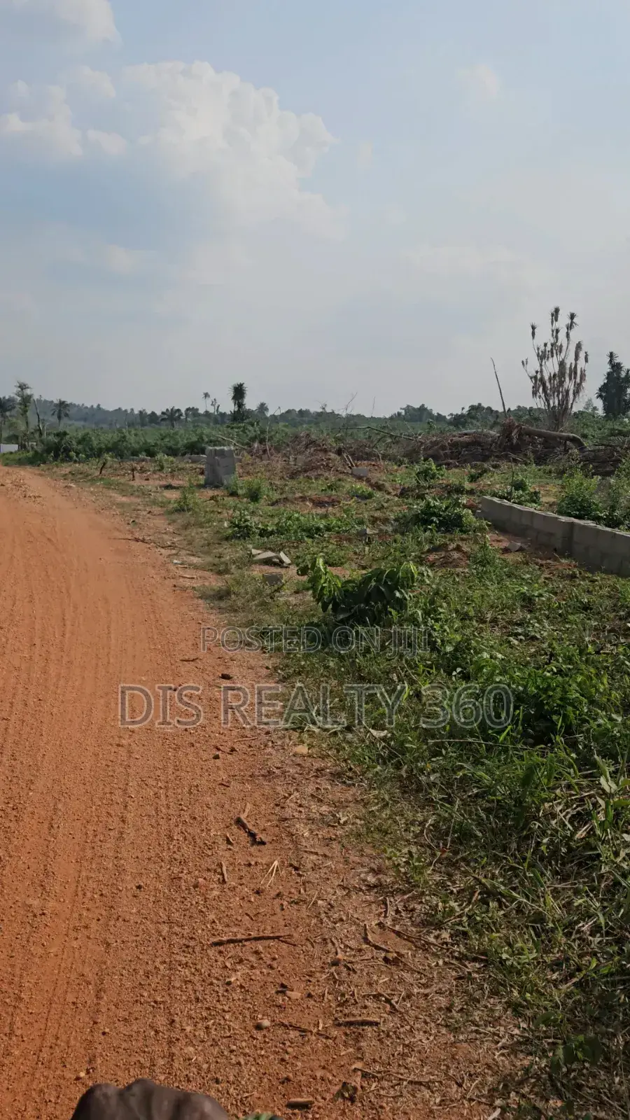 1000 Acres of Farmland for Sale at Obafe in Obafemi-Owode