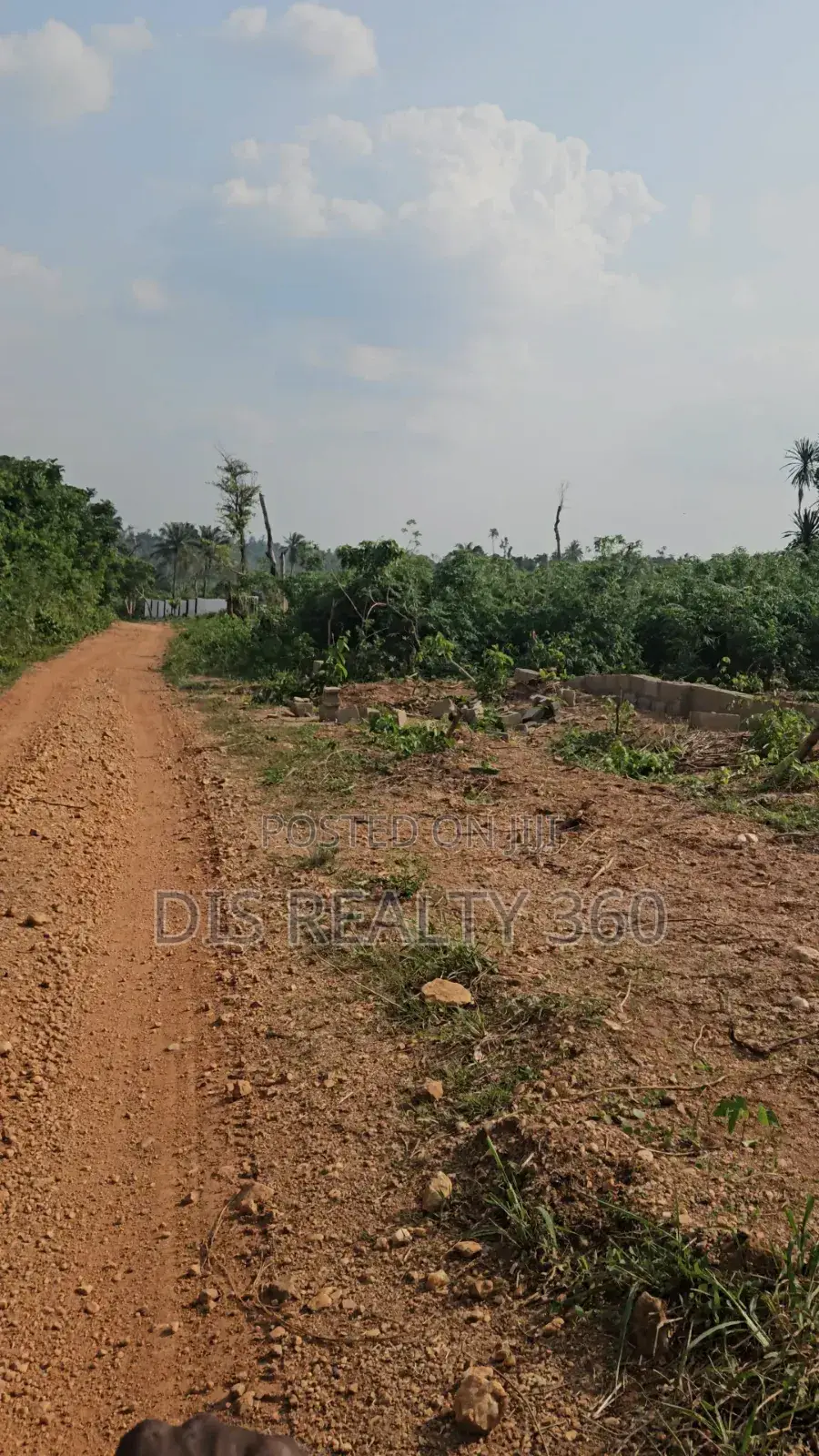 1000 Acres of Farmland for Sale at Obafe in Obafemi-Owode