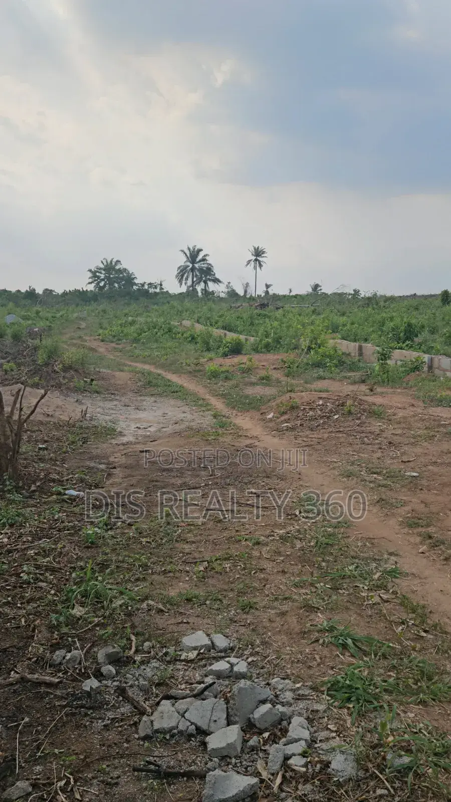 1000 Acres of Farmland for Sale at Obafe in Obafemi-Owode
