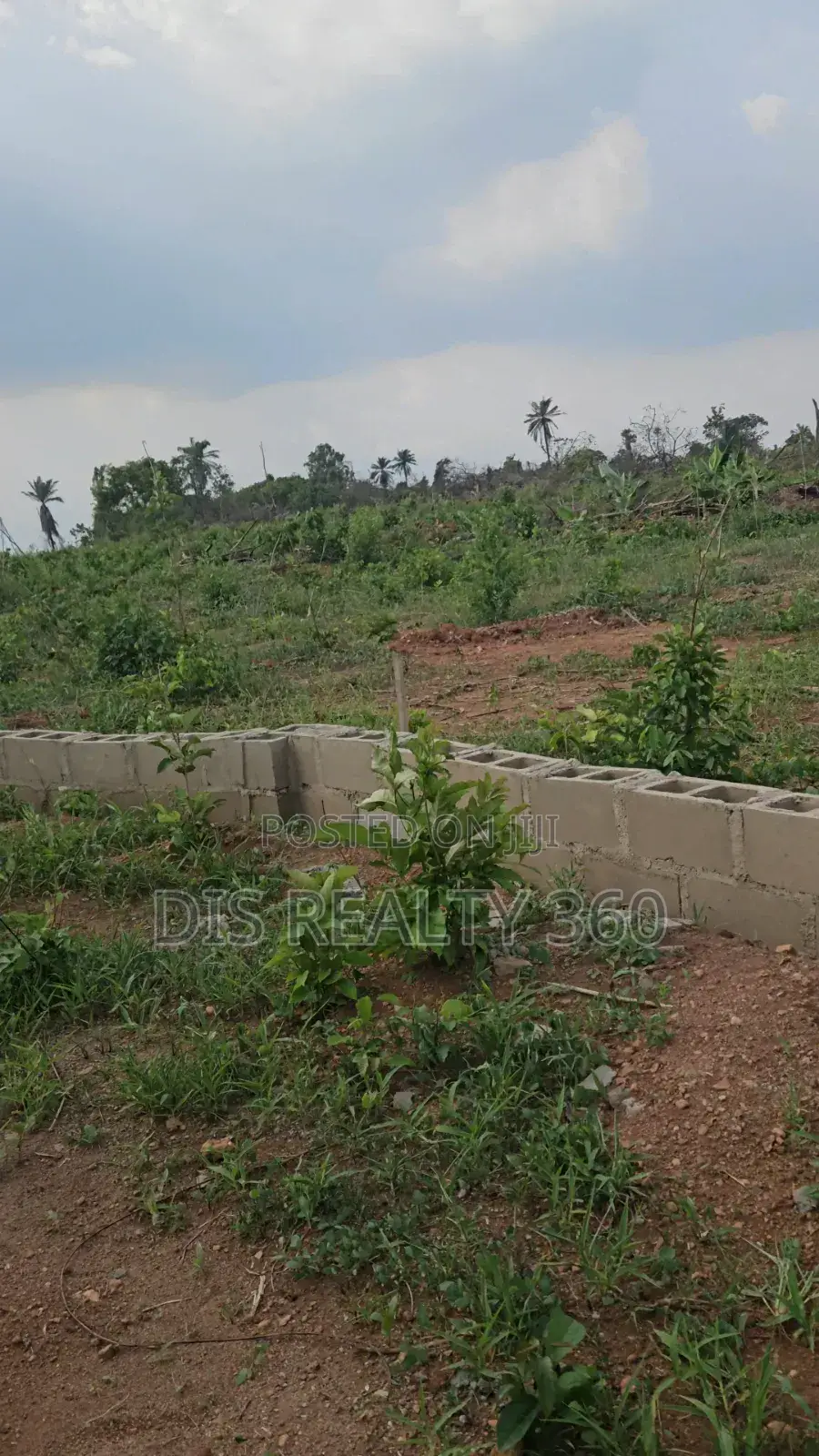 1000 Acres of Farmland for Sale at Obafe in Obafemi-Owode