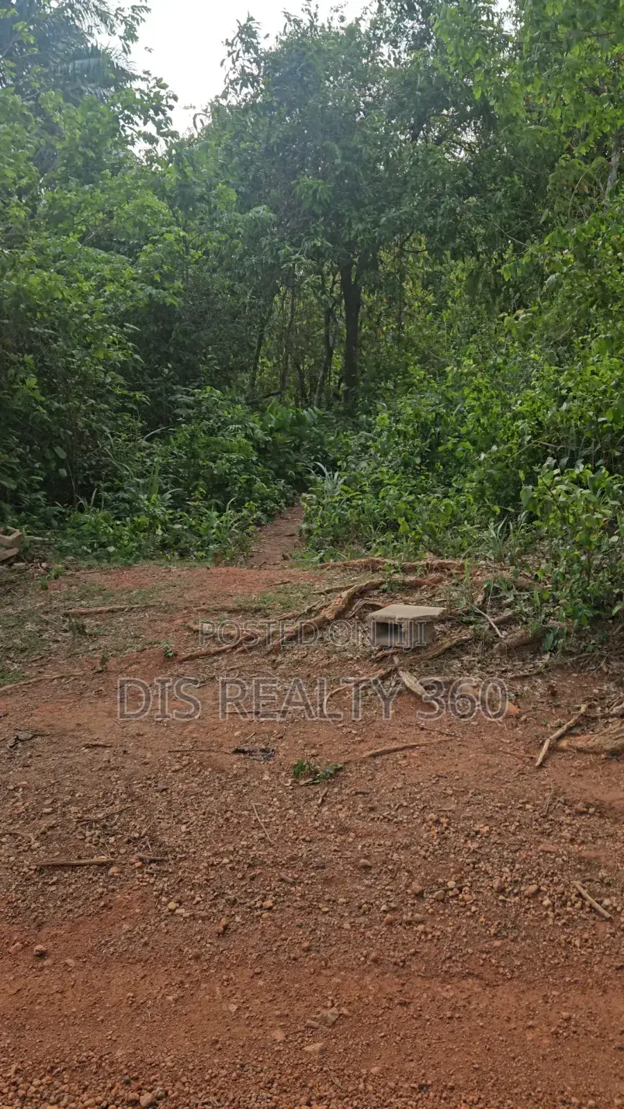 1000 Acres of Farmland for Sale at Obafe in Obafemi-Owode