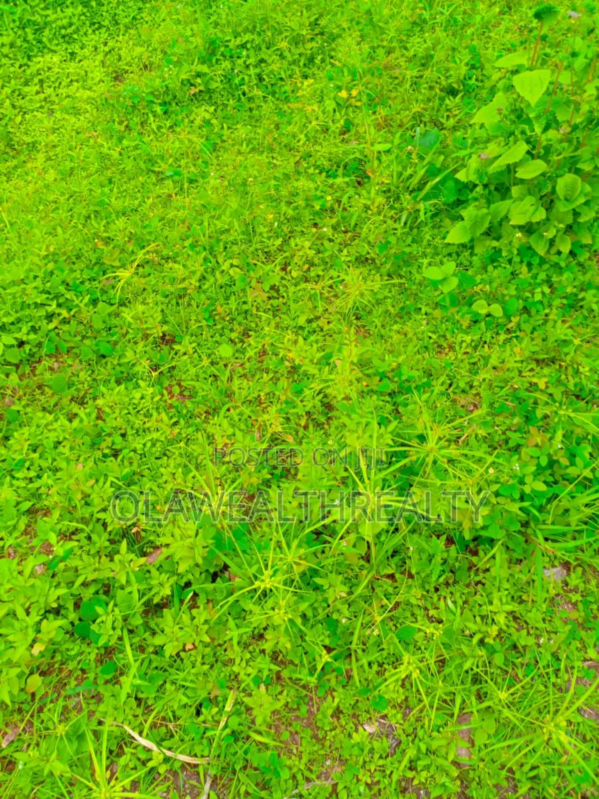 3094sqm Filling Station Land at Kwali in Kwali