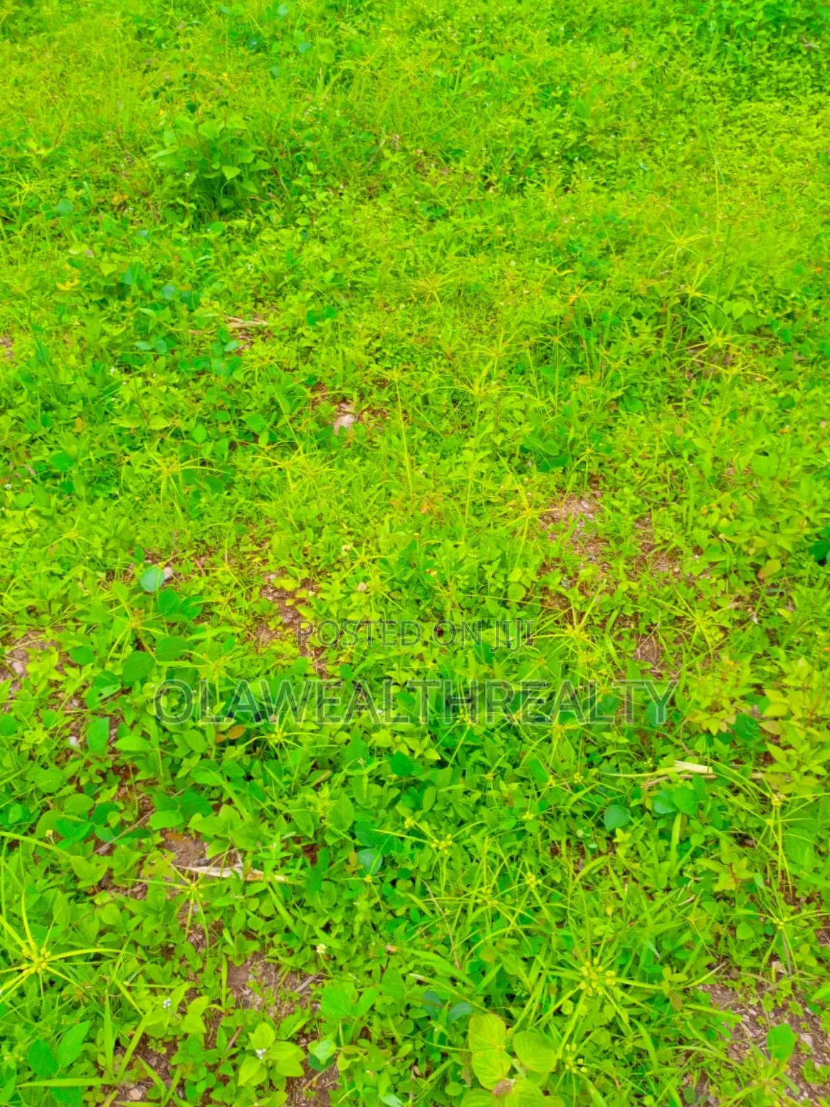 1450sqm Residential Land at Guzape Main in Guzape District