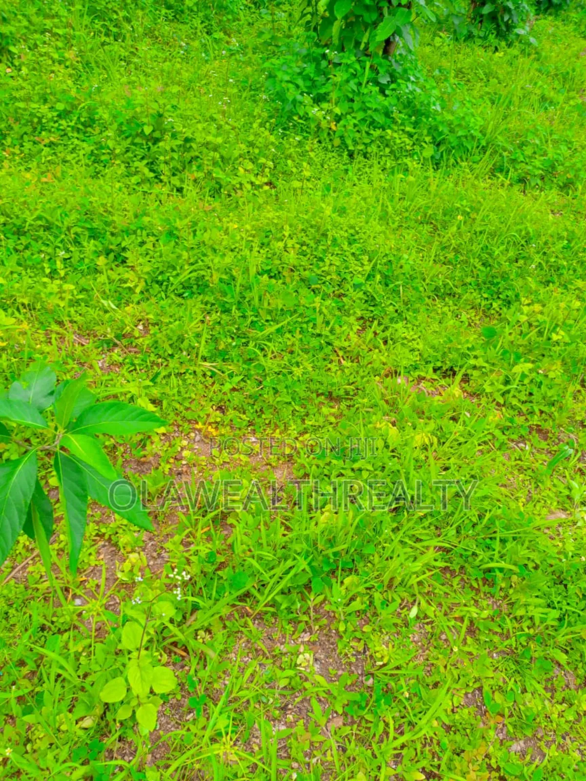 15.45 Hectares Housing Estate Land at Wasa in Wasa