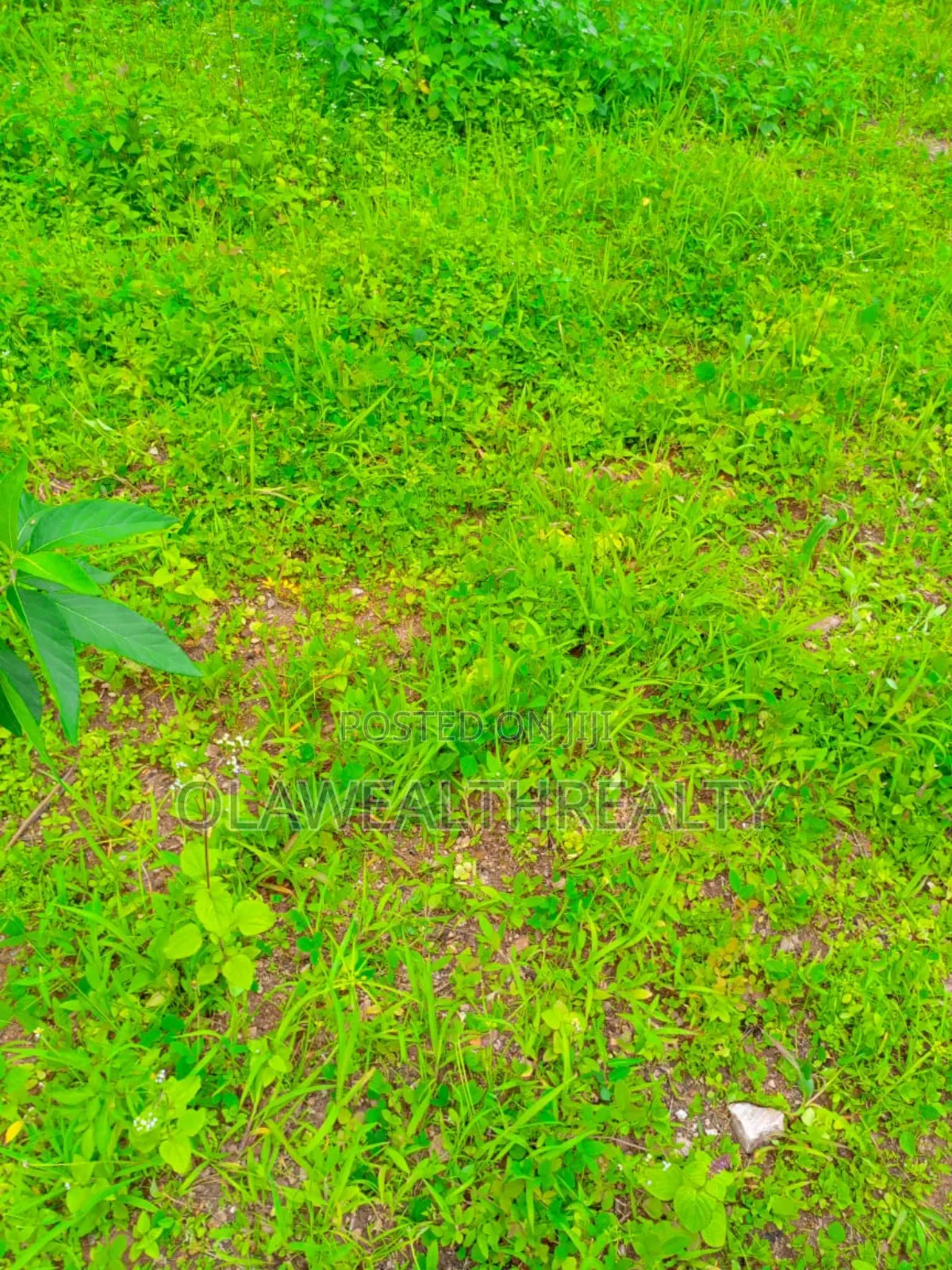 15.45 Hectares Housing Estate Land at Wasa in Wasa