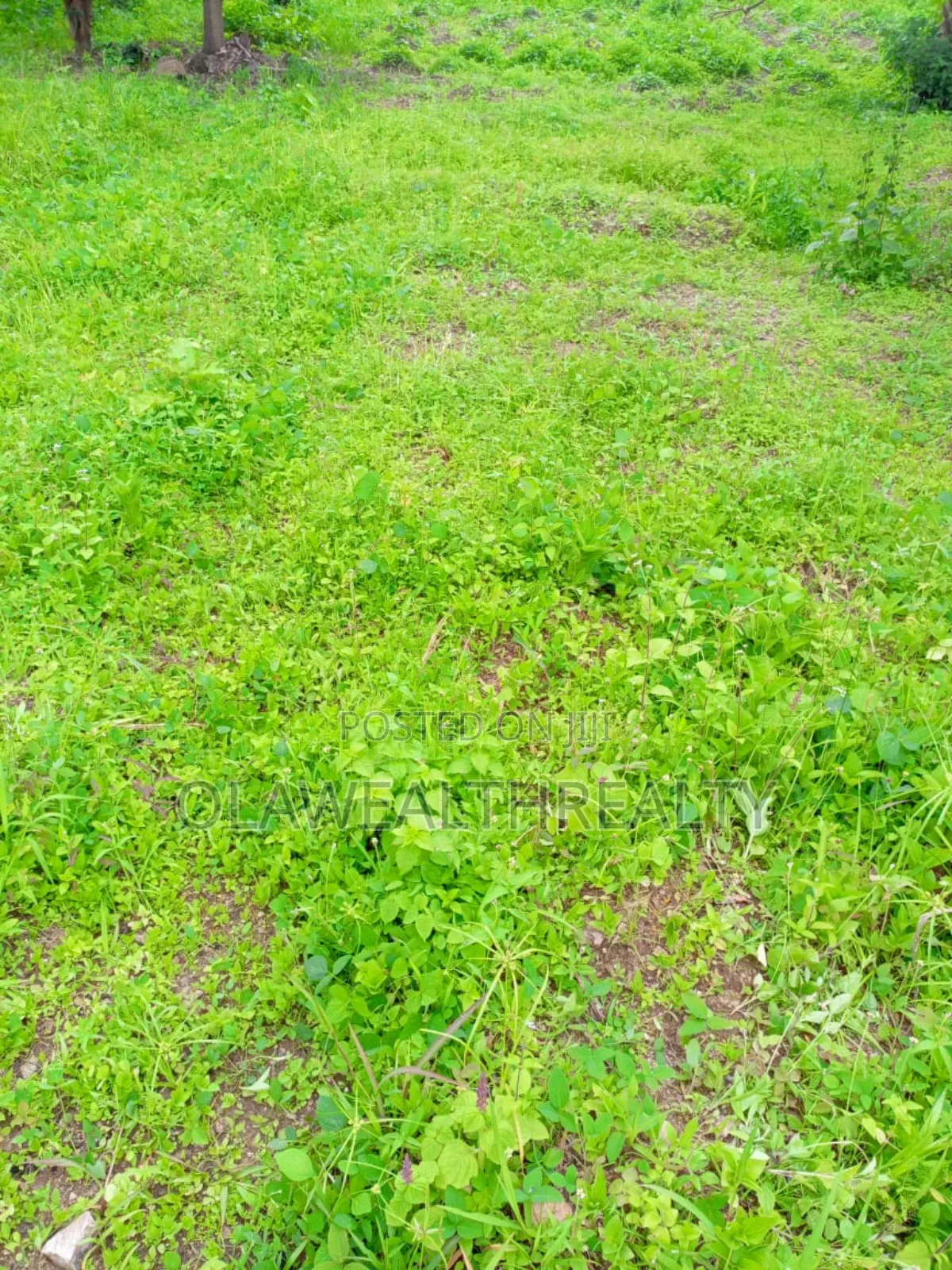 4282sqm Residential Plot at Wuye Main in Wuye