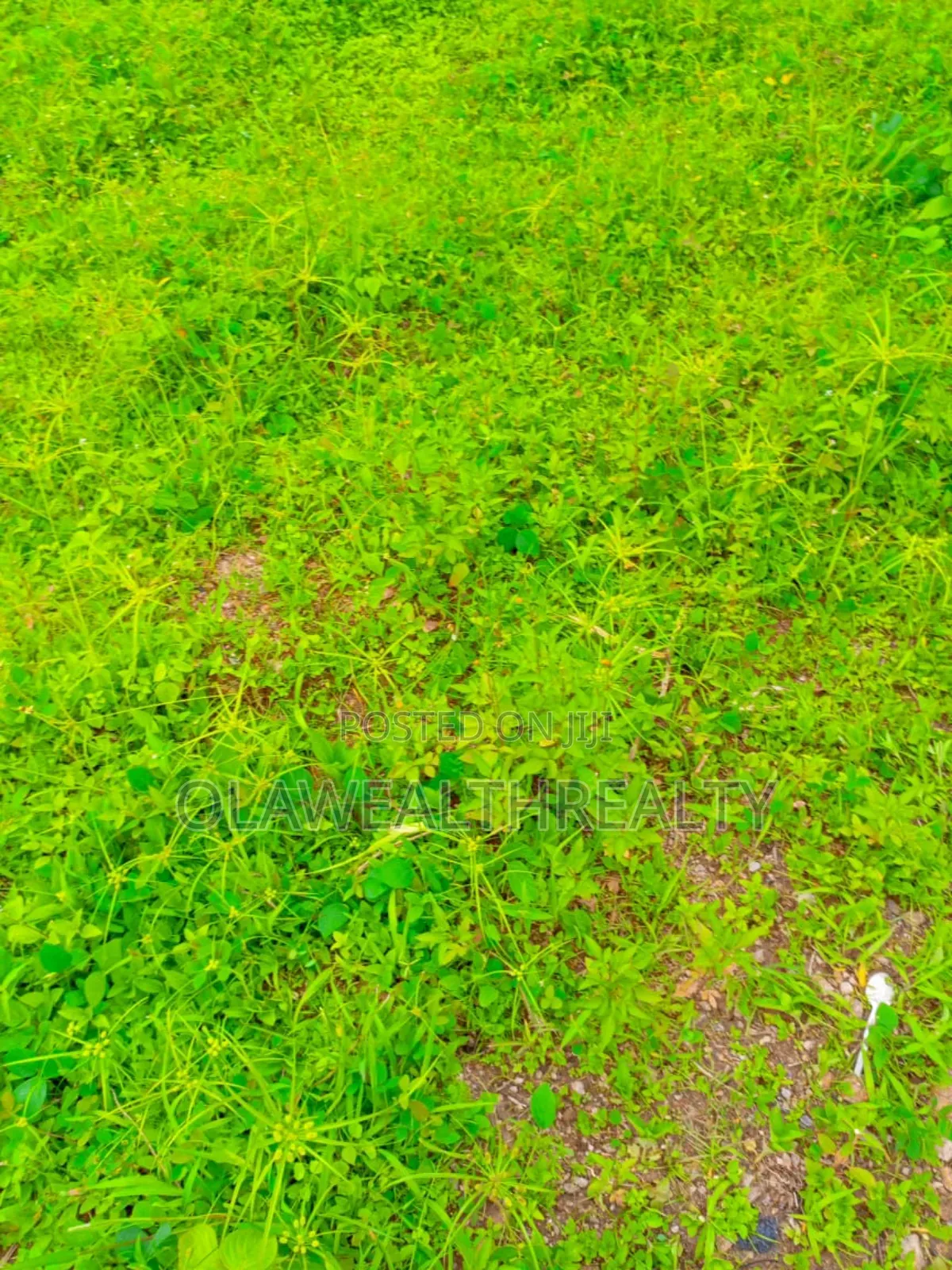 4282sqm Residential Plot at Wuye Main in Wuye
