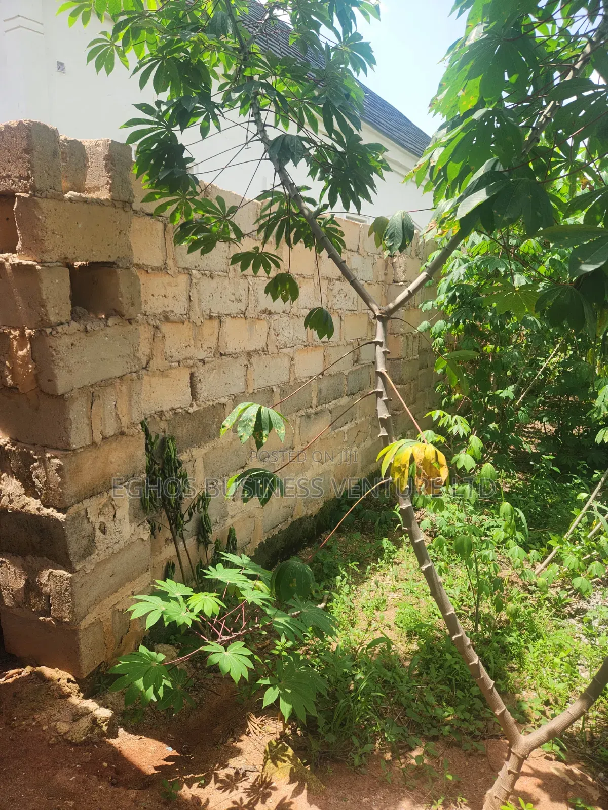 Urgent Land Sale 50ft by 100ft for Sale With Foundation in Benin City