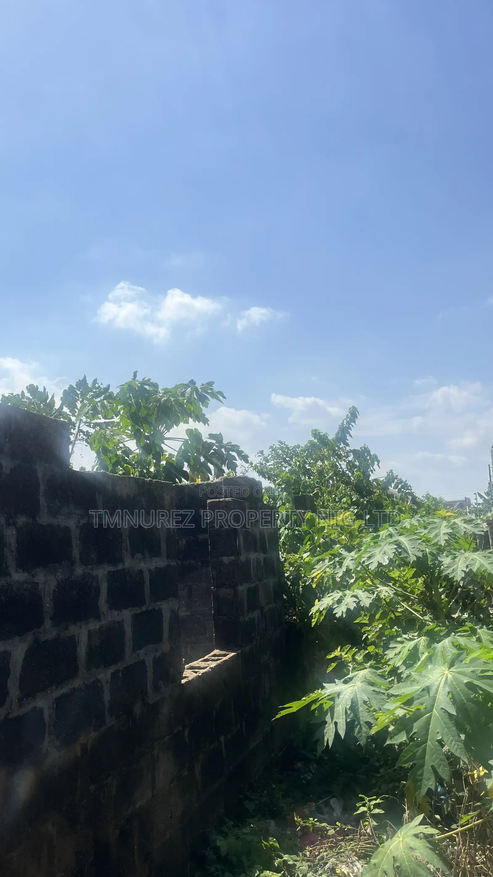Land for Sale in Very Good Location in Ikorodu in Ijede / Ikorodu