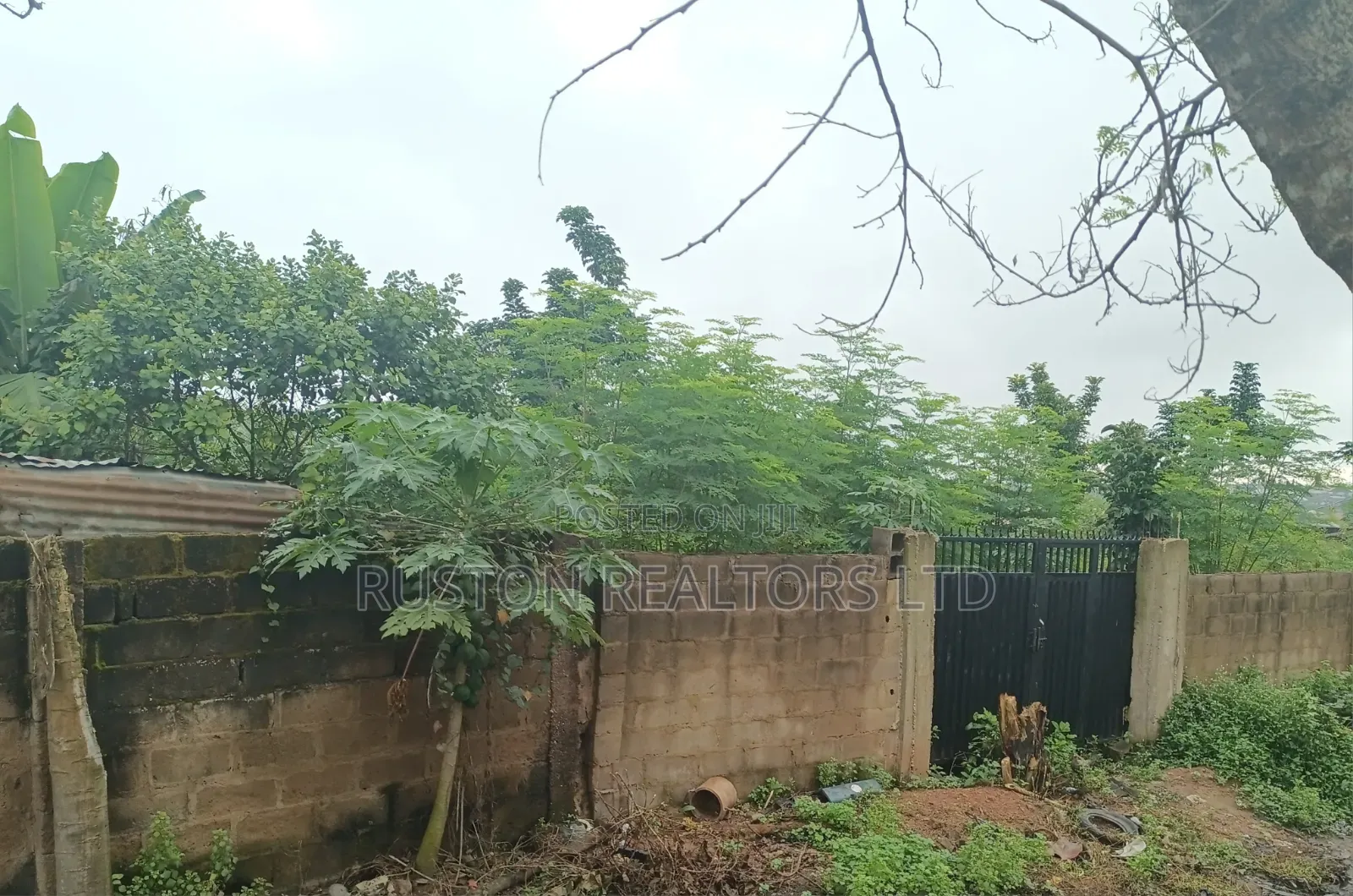 Land Measuring About 1000sm in Ojoo
