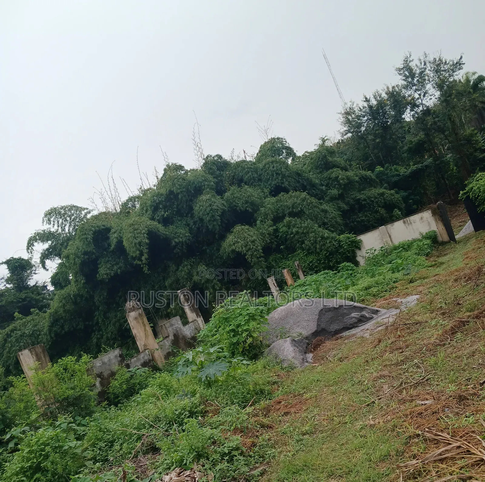 Land Measuring About 1000sm in Ojoo