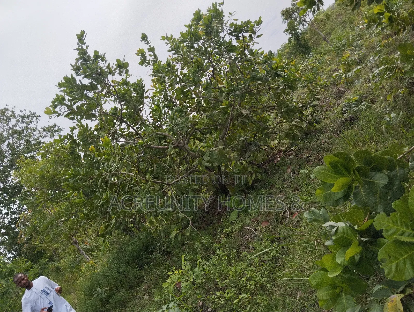 10 Acres of Commercial Land Available Iseyin-Ipapo Xpres Way Oyo State in Iseyin