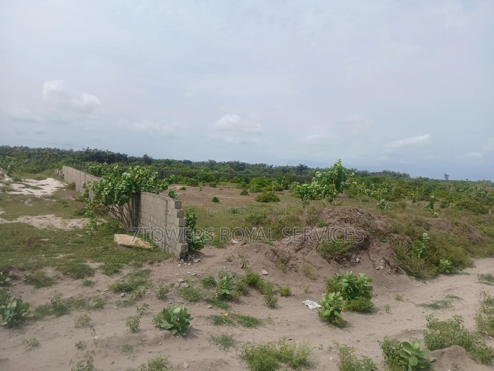 Hecters of Land in Sangotedo