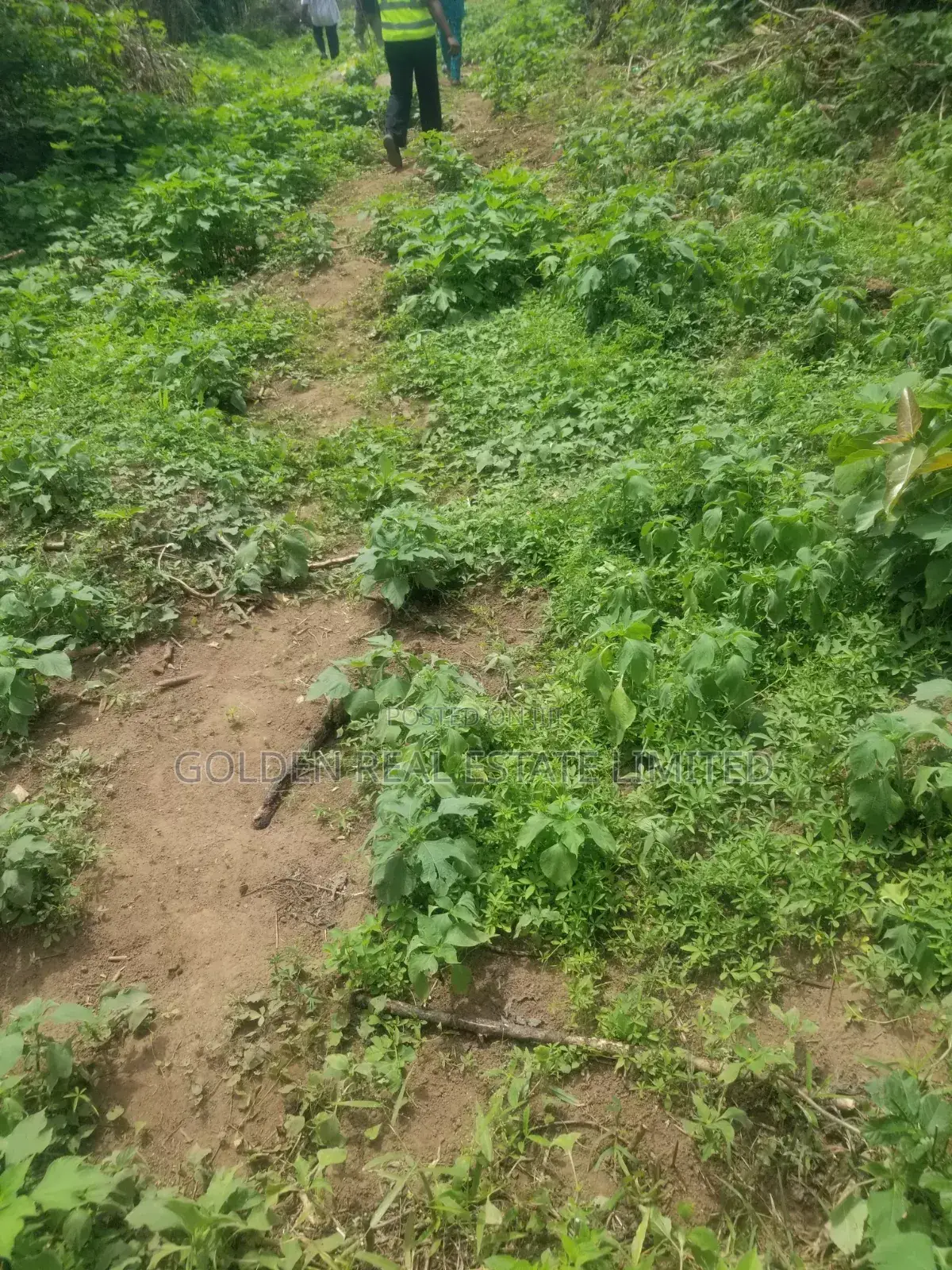 Two Plots of Land in Uso Area, Afao Road. Ado Ekiti for Sales in Ado Ekiti